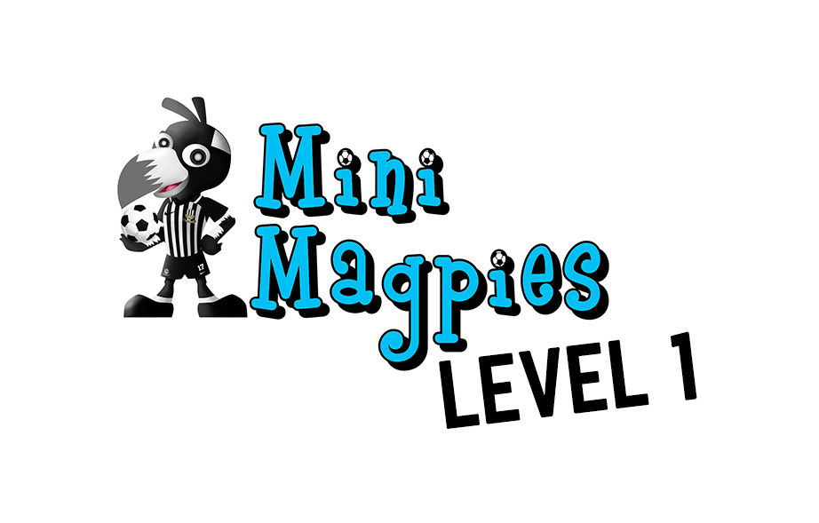 Mini Magpie Level One