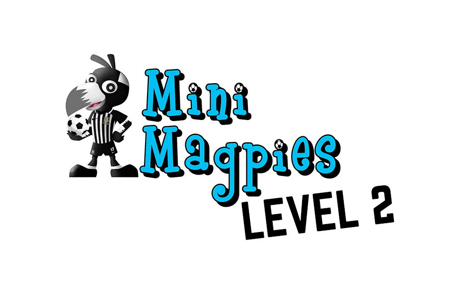 Mini Magpie Level Two
